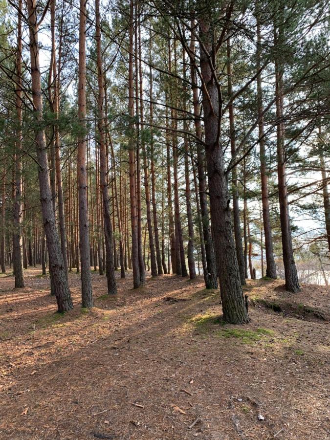 Apartament Florin Dyneburg Zewnętrze zdjęcie